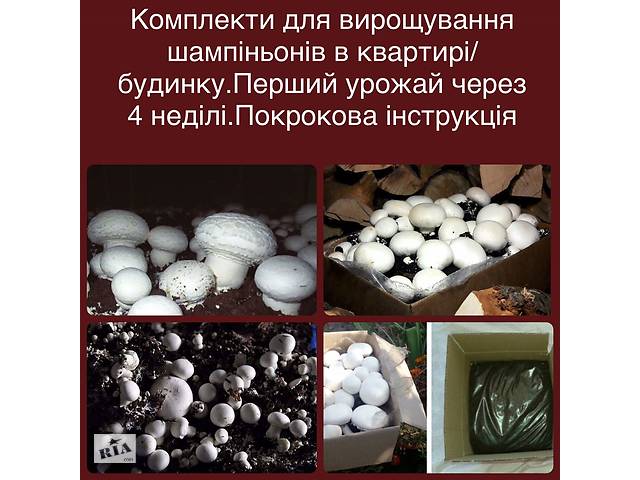 Комплекти для вирощування шампіньйонів у квартирі