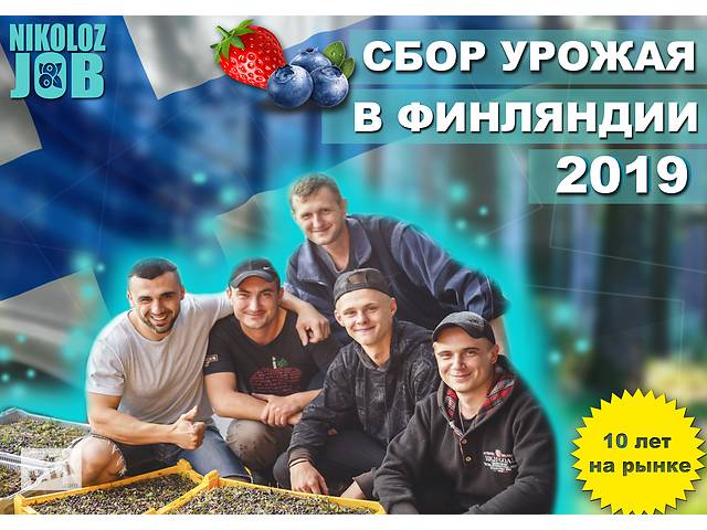 Легальная работа за границей в Финляндии. Сбор фруктов.