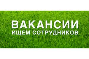 найти работу в донецке свежие вакансии