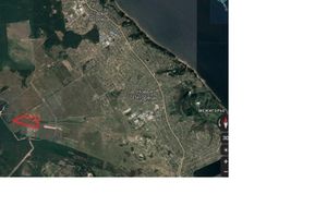 Продается земельный участок 100 соток в Киевской области