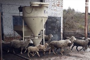 Продается помещение (часть здания) 1200 кв. м в 1-этажном здании