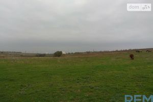 Продается земельный участок 200 соток в Одесской области