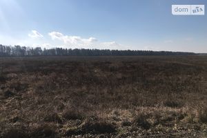 Продается земельный участок 12 соток в Ровенской области