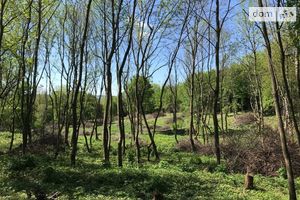 Продається земельна ділянка 350 соток у Хмельницькій області