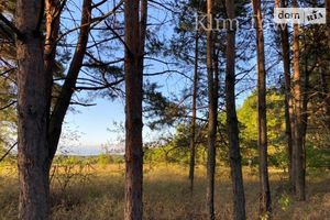 Продається земельна ділянка 40 соток у Київській області