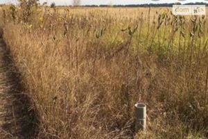 Продається земельна ділянка 3100 соток у Київській області