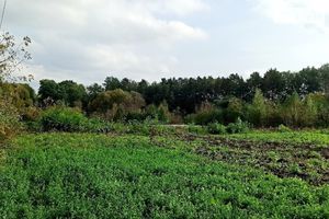 Продается земельный участок 38 соток в Винницкой области