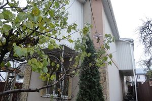 Сдается в аренду одноэтажный дом с гаражом