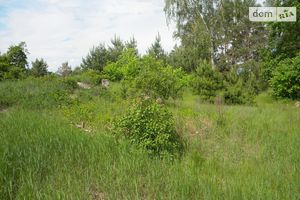 Продается земельный участок 10 соток в Черниговской области