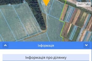Продается земельный участок 87 соток в Закарпатской области