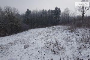 Продается земельный участок 41 соток в Хмельницкой области