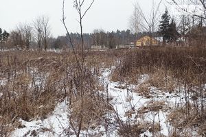 Продается земельный участок 80 соток в Житомирской области