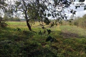 Продається одноповерховий будинок 49 кв. м з меблями