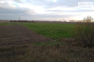 Продается земельный участок 195 соток в Житомирской области