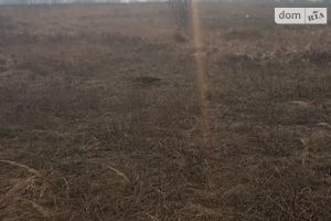 Продається земельна ділянка 2143 соток у Київській області