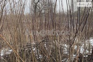 Продается земельный участок 266 соток в Киевской области