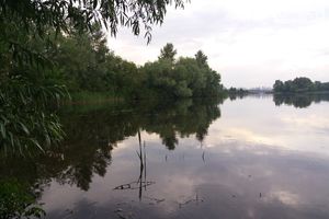 Продается земельный участок 10 соток в Киевской области