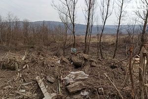 Продається земельна ділянка 25 соток у Закарпатській області