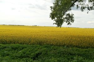 Продается земельный участок 12 соток в Киевской области