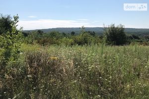 Продается земельный участок 25 соток в Закарпатской области