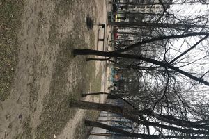 Сдается в аренду 2-комнатная квартира 49 кв. м в Ровно