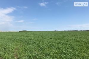 Продается земельный участок 423.5 соток в Одесской области